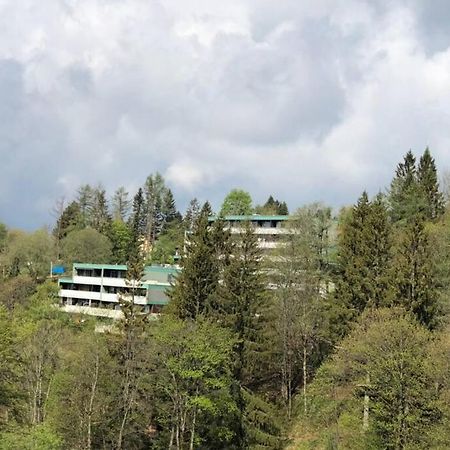 Apartment Harzblick -Neu Modernisiert- Sankt Andreasberg Eksteriør billede